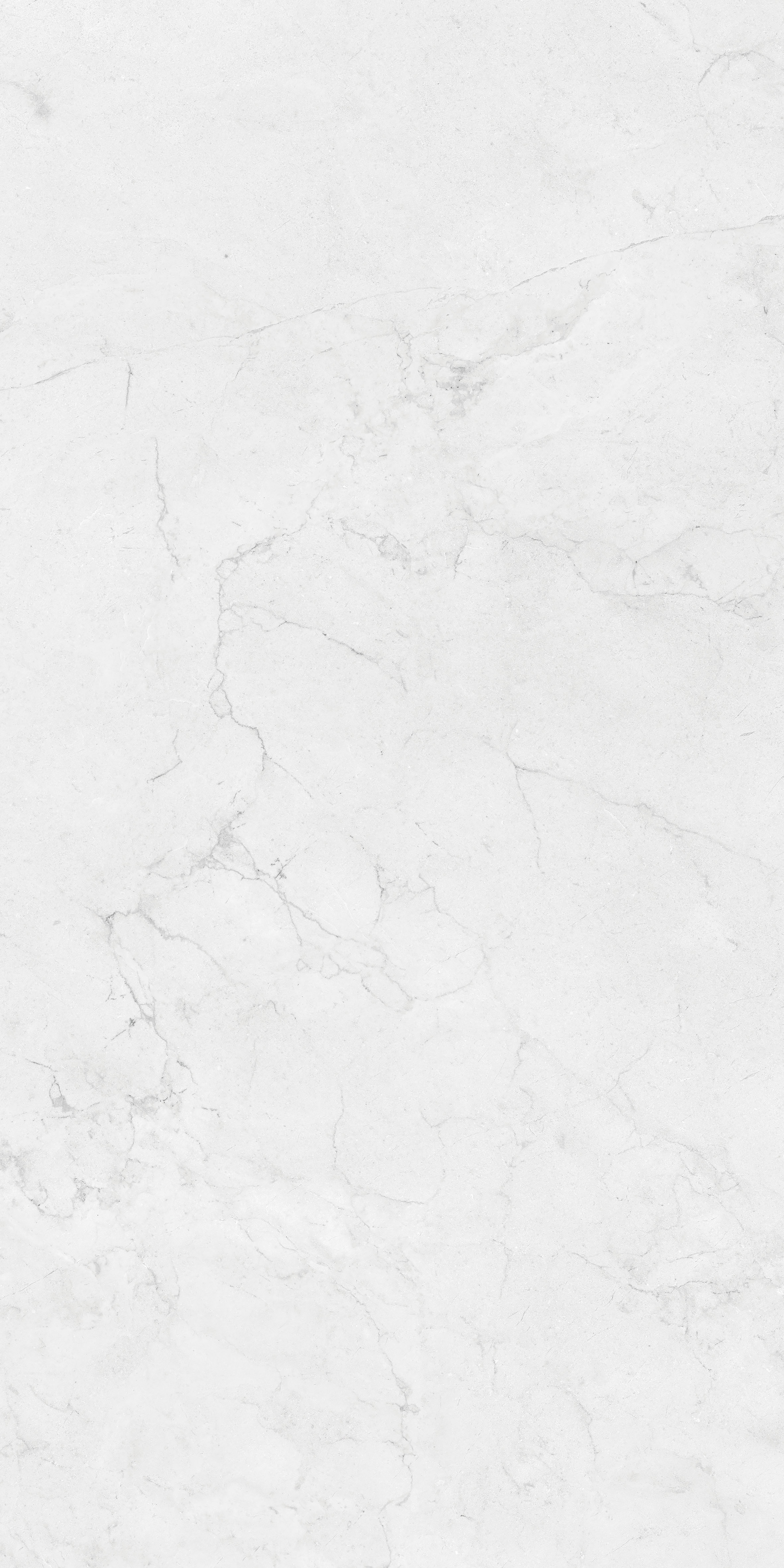 Island White 600 x1200 Mатовый Керамогранит