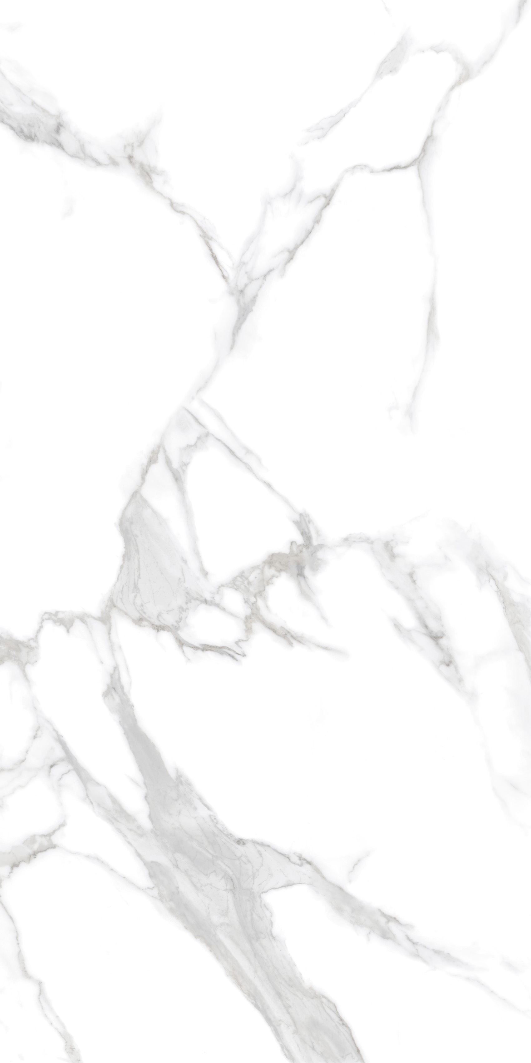 NOIR STATUARIO 600 x1200 Полированный Керамогранит