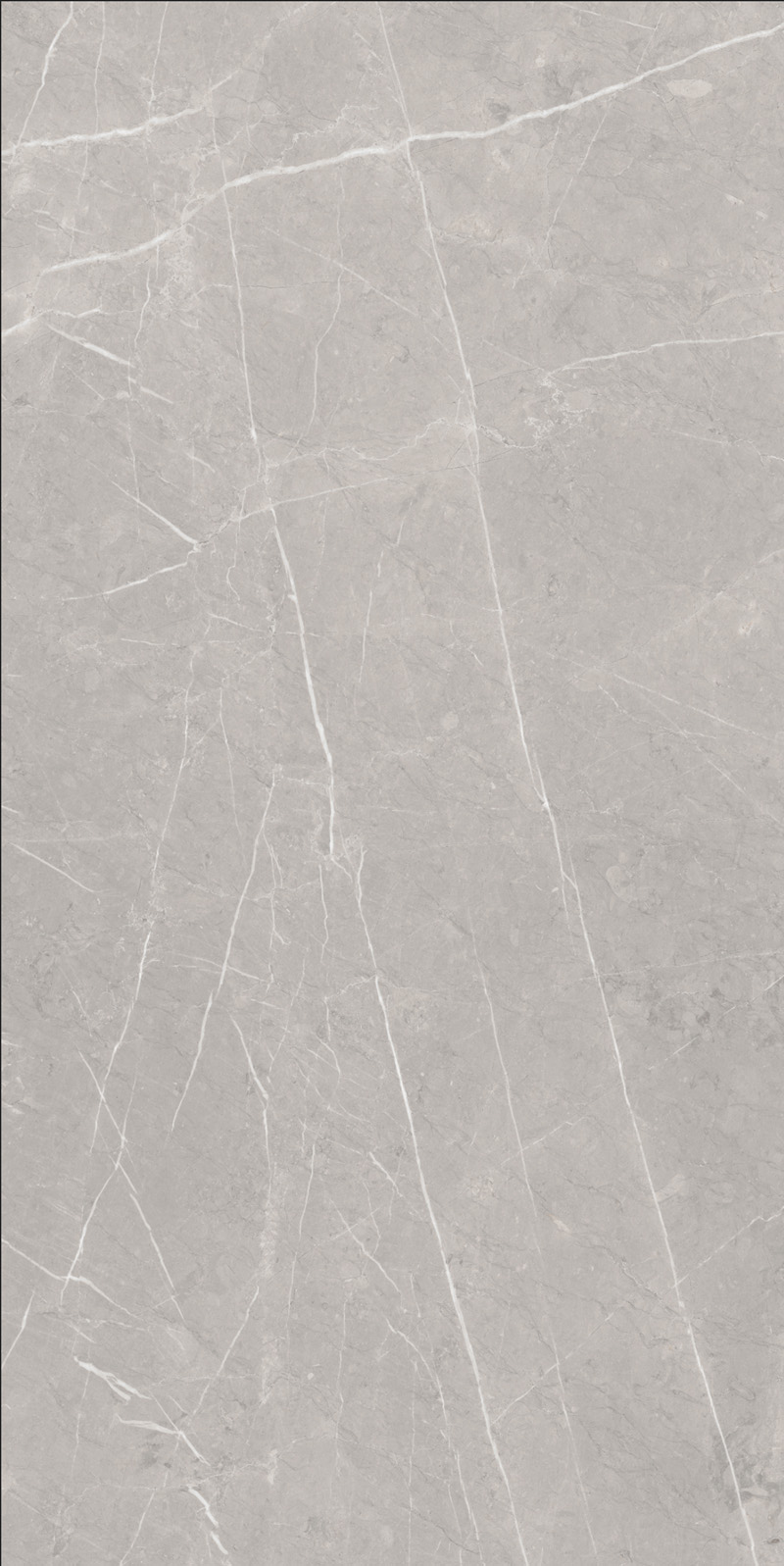 PIETRA LIGHT GREY 1200 x2400 Матовый с эффектом прожилок в камне Керамогранит