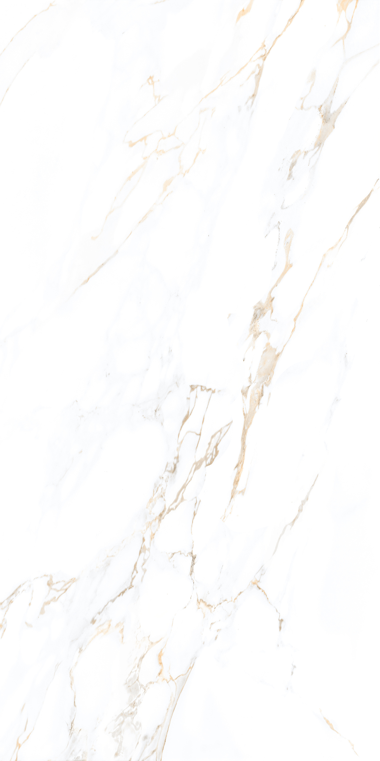 CALACUTTA CREAMA 600 x1200 Полированный Керамогранит