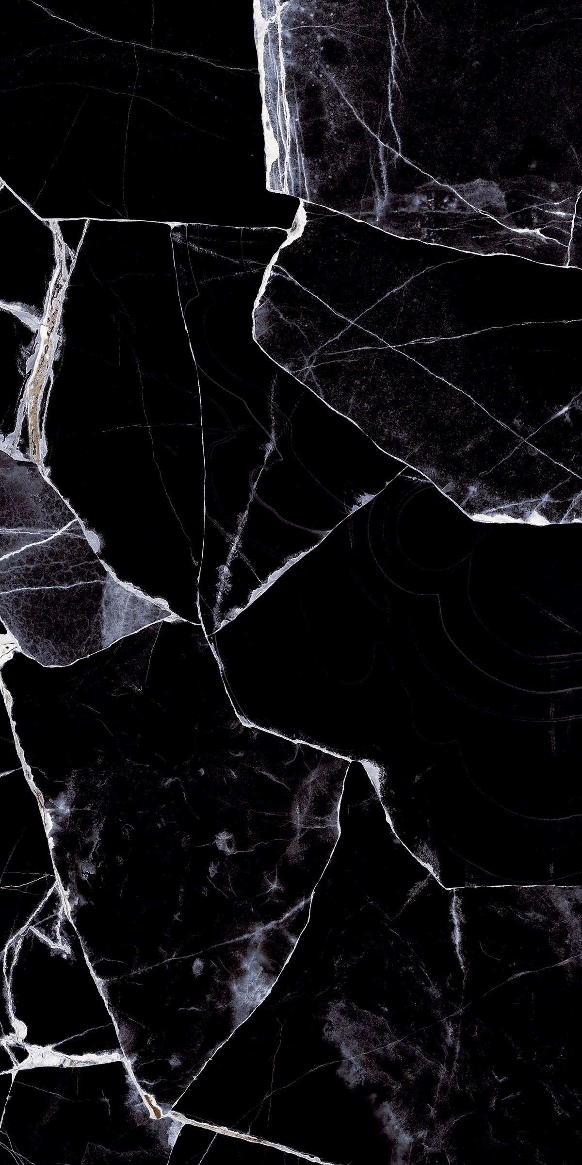 Gallifery Black 5300 600 x1200 Полированный Керамогранит