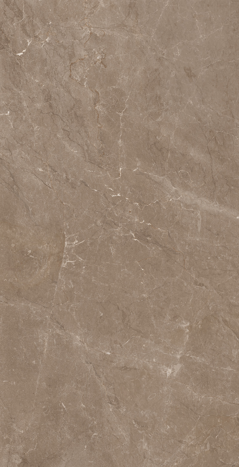 SINTETICO BOTANICA 600 x1200 Полированный Керамогранит