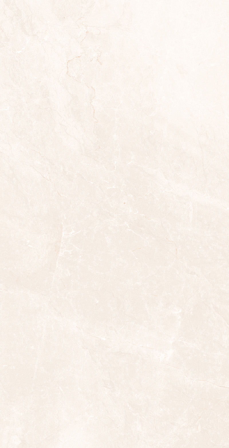 SINTETICO PALE 600 x1200 Полированный Керамогранит
