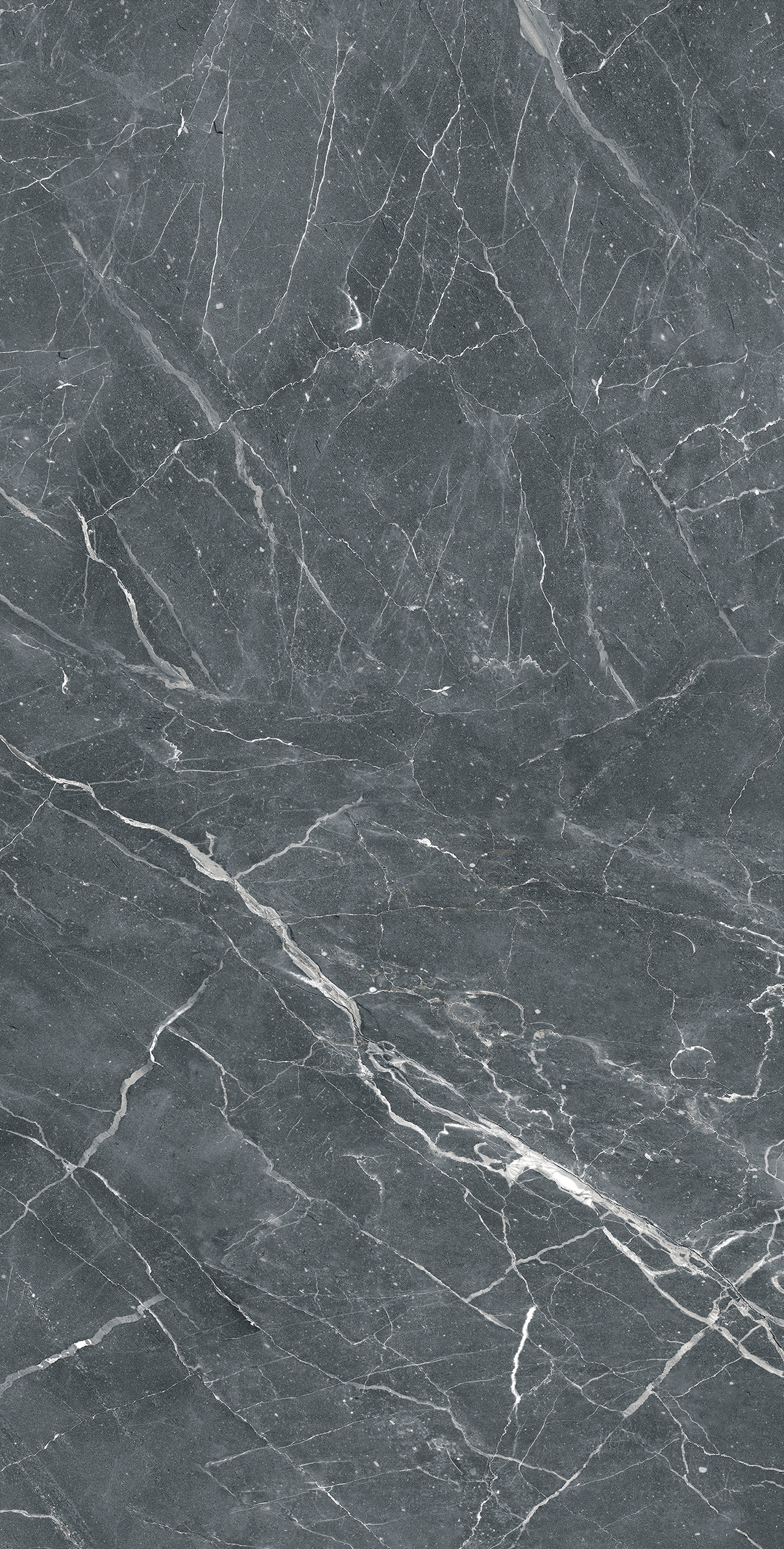 Takenos Grey 600 x1200 Матовый с эффектом прожилок в камне Керамогранит