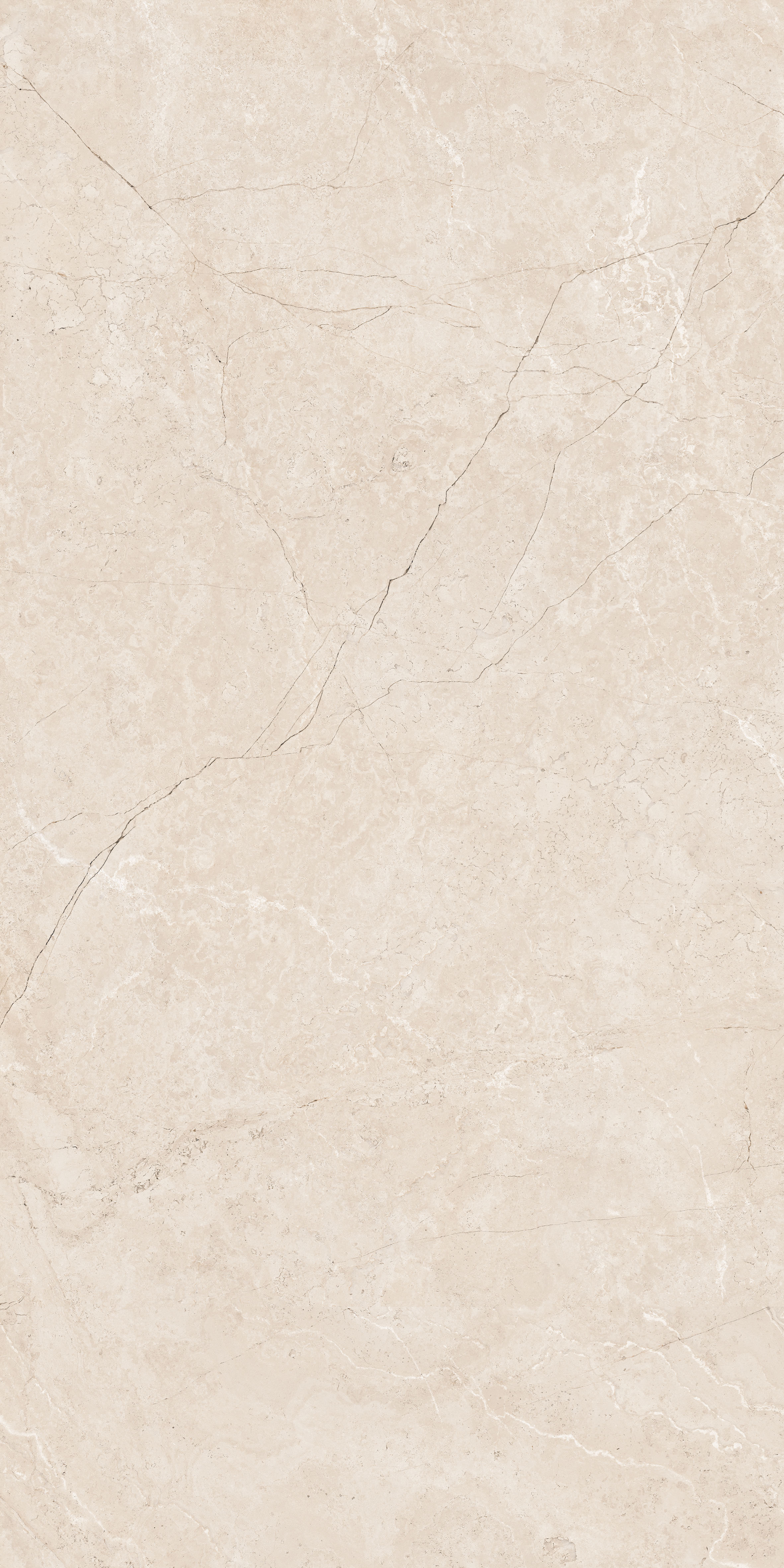PRECIOUS IVORY 600 x1200 Матовый Керамогранит