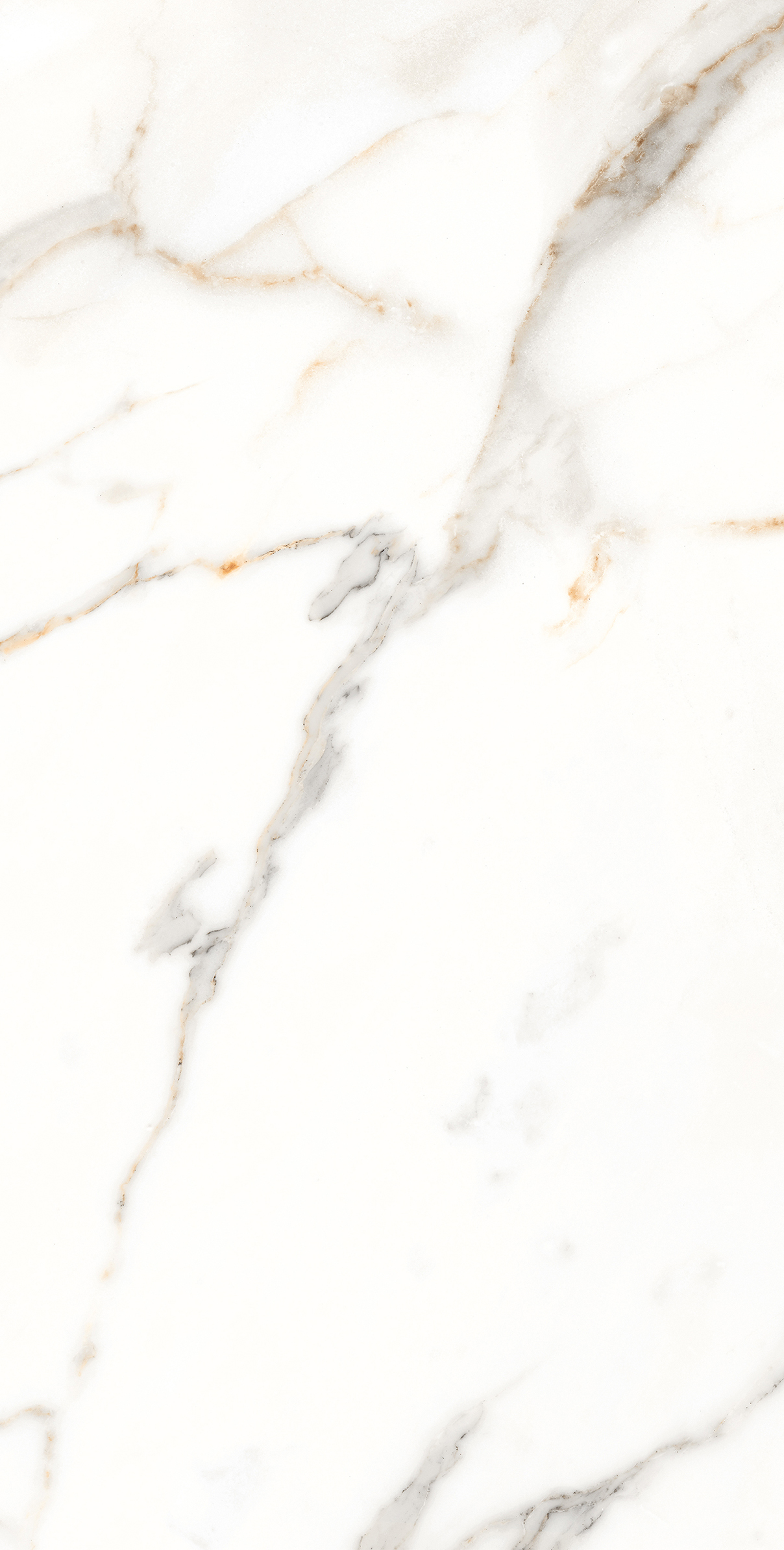 Carrara Brown 600 x1200 Полированный Керамогранит