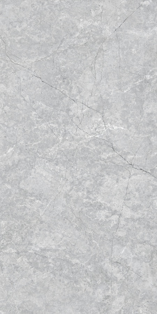 PRECIOUS SILVER 600 x1200 Матовый Керамогранит