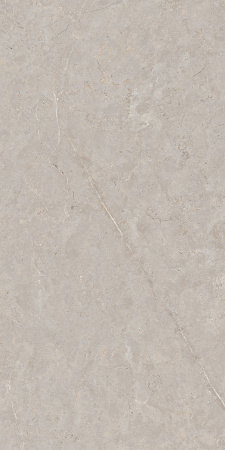 CALIZA GREY 600 x1200 Матовый Керамогранит