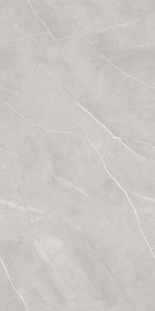 BUFFON GREY 600 x1200  Матовый Керамогранит
