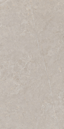 CALIZA GREY 600 x1200 Матовый Керамогранит